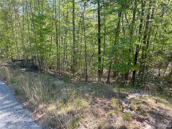 0 Hawks Ter #314, Lake Lure, NC 28746