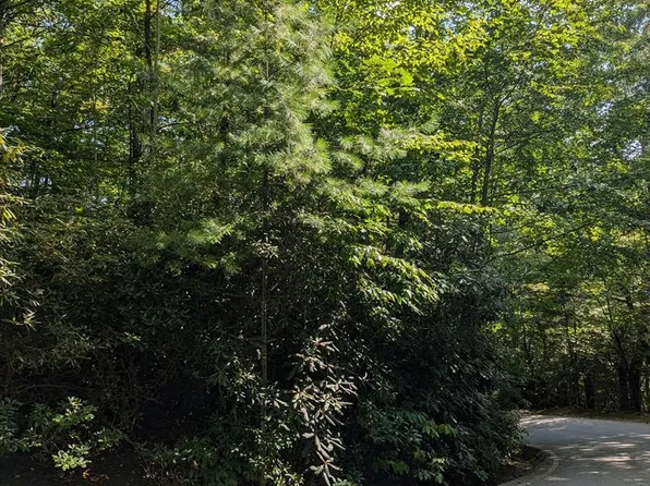 Lot 116 Buckberry N, Sapphire, NC 28774