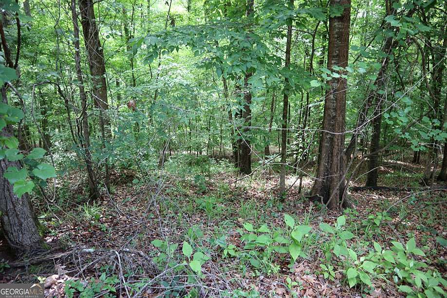 1st image of Lt102 Village Ct SW