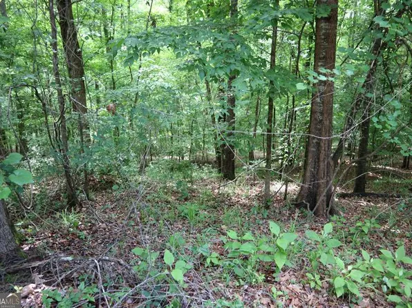 Lt102 Village Ct SW, Sparta, GA 31087