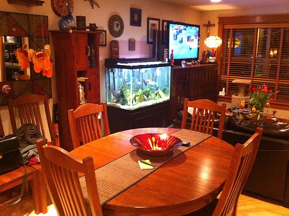 high end trim and custom wood blinds