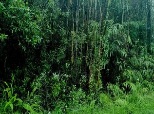 Road 4 Kea #IO, Mountain View, HI 96771