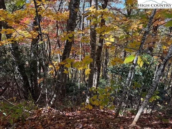 Lot 50-51 Poplar Trail, Creston, NC 28615