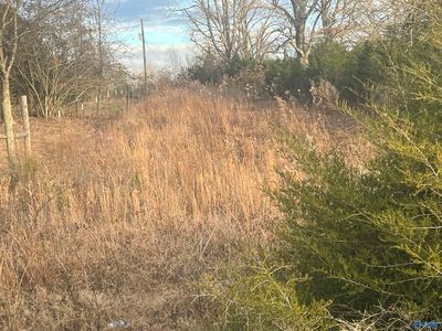 1952 County Road 249, Moulton, AL, 35650