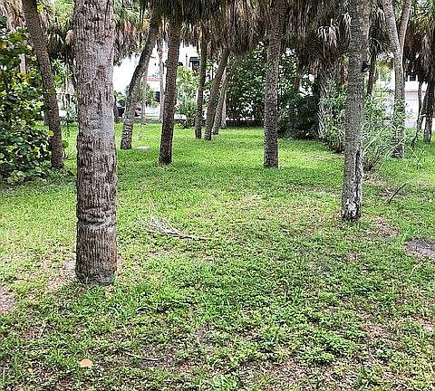 Lot looking east PAG Way