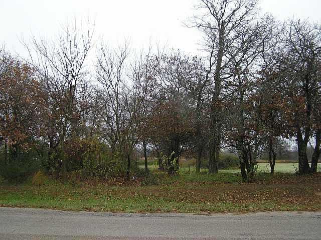 1st image of Maxine Dr Lot 7