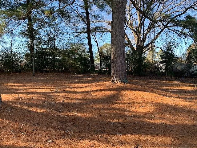317 Land St — Photo 10