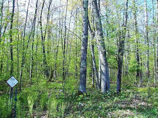 1st image of W8600 County Road Mm