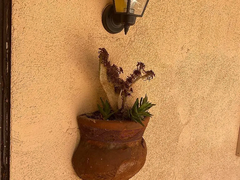La Casa — Photo 58