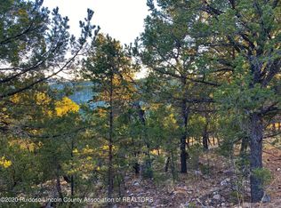 102 Edgeview Dr, Alto, NM 88312