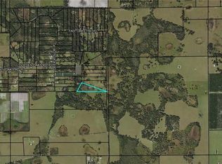 191 Golden Oaks Rd, Zolfo Springs, FL 33890