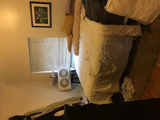 Rented by Bond New York | media 20