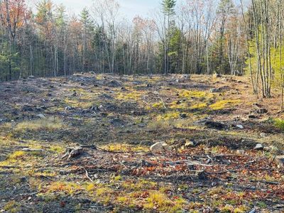 Lot 77 Homestead Lane, Barrington, NH, 03825
