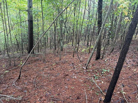 4th image of 1440 Upper Bear Paw Road