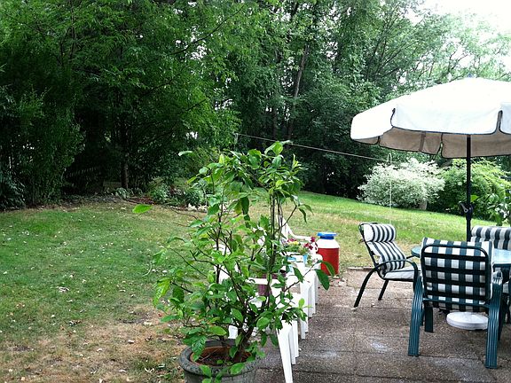 Private back yard