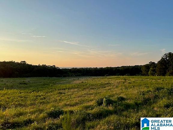 3rd image of 0 Jones Chapel Loop #1