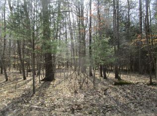 9035 White Pine Dr, Stanwood, MI