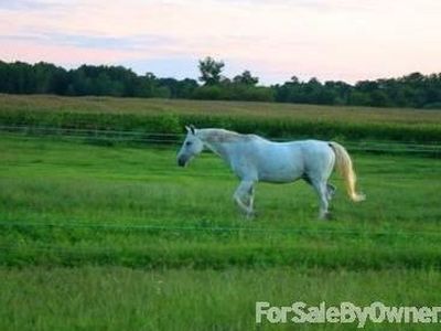 16873 Henderson Rd, Henderson, MD, 21640