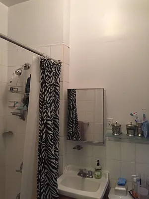 Rented by J Misrahi Realty Corp | media 34