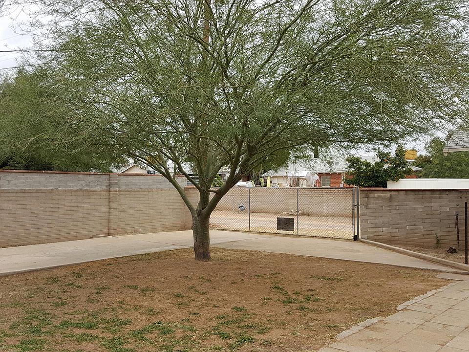 Kitchen & Bedrooms Backyard