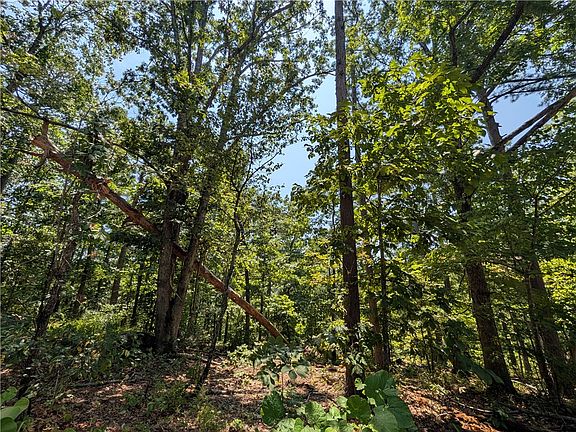 2nd image of Canyon Village Rd #1