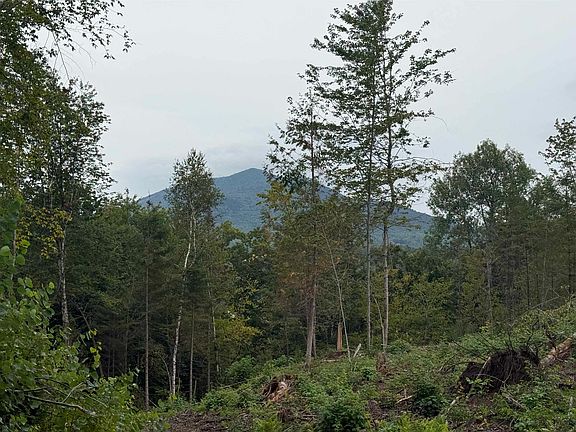 4th image of 000 Darling Hill Road