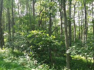 Sang Run Rd, Oakland, MD 21550