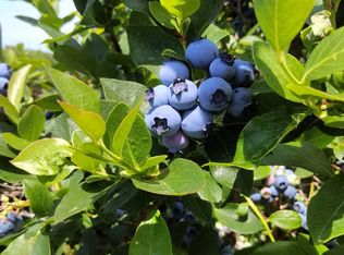 57623 4th Ave, Grand Junction, MI 49056