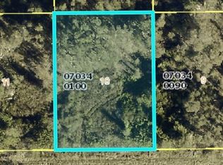 807 Alamo St E, Lehigh Acres, FL 33974
