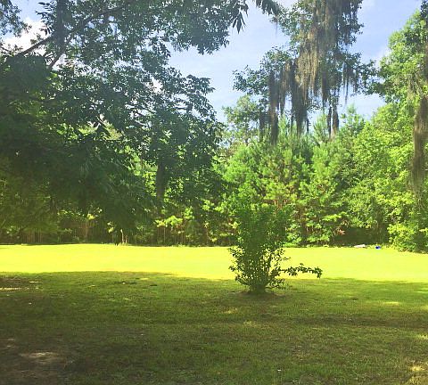 3rd image of 1123 Blythe Island Dr