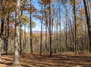 19R Settlement Trl #19R, Ellijay, GA 30536