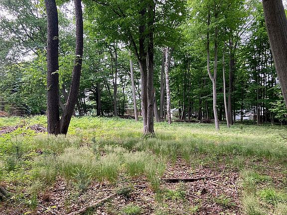 Beautiful property