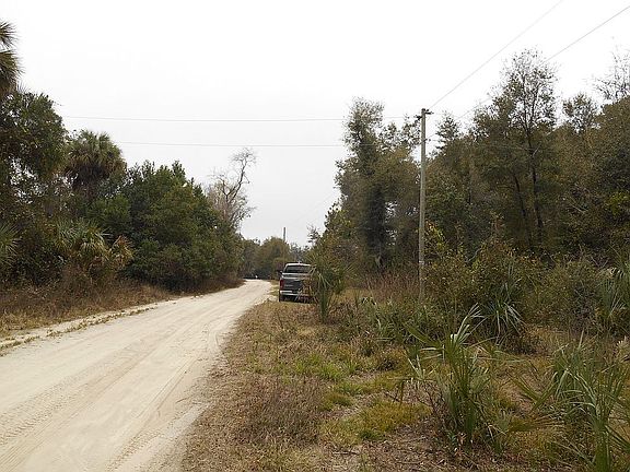 5th image of 245 Little Orange Lake Dr