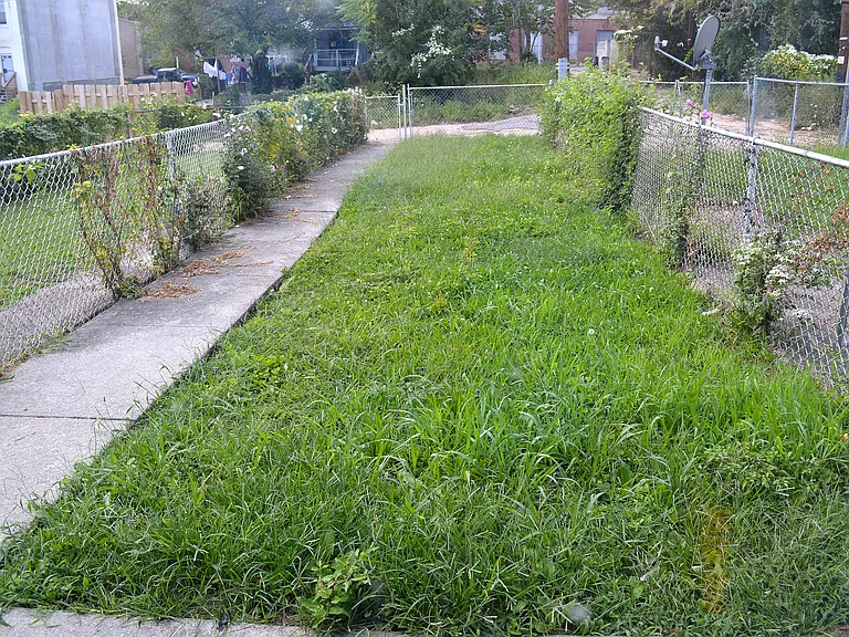 1838 Rutland Ave — Photo 8