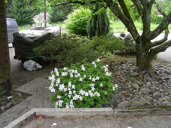 view west, from one driveway to the other