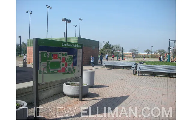 Sold by Douglas Elliman | media 16