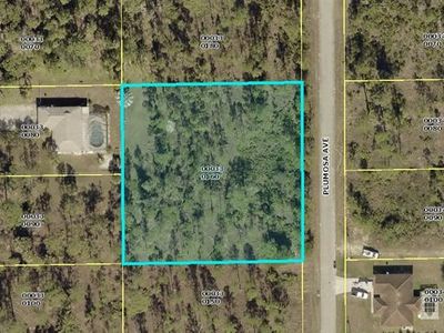1007 Plumosa Ave, Lehigh Acres, FL, 33972