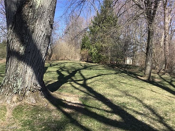 3rd image of 8121 Burgess Lake Dr