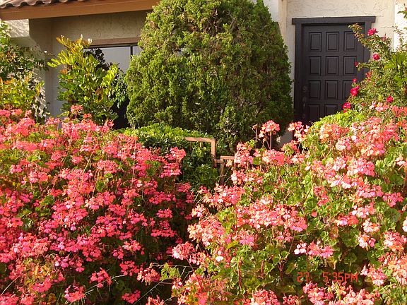 2nd image of 1705 Camino De Villas