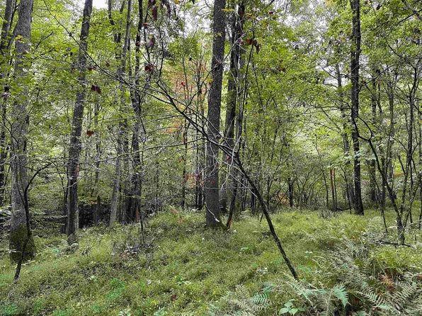 7 Deckers Trail Rd, Masontown, WV 26542