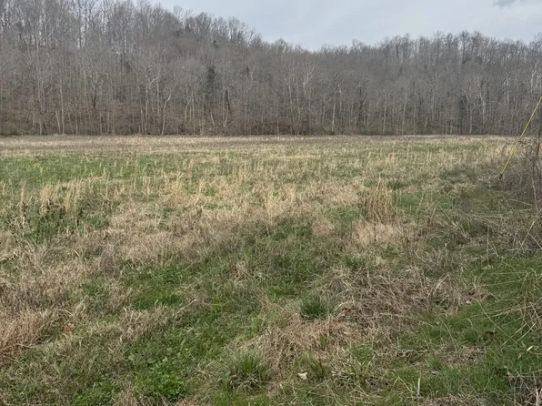 1234 Puncheon Creek Rd, Lafayette, TN 37083