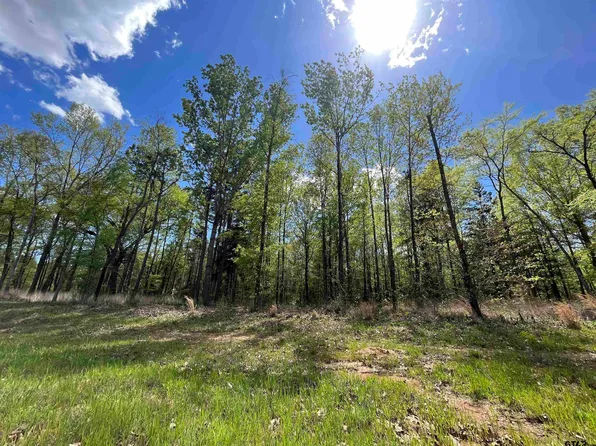 Private Road 52416, Leesburg, TX 75451