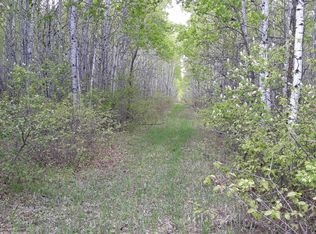 35861 160th Ave NW, Newfolden, MN 56738