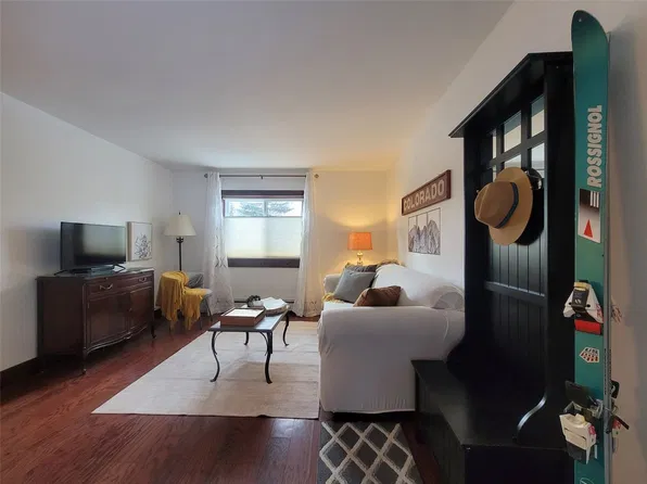 214 S Harris Street UNIT 101, Breckenridge, CO 80424
