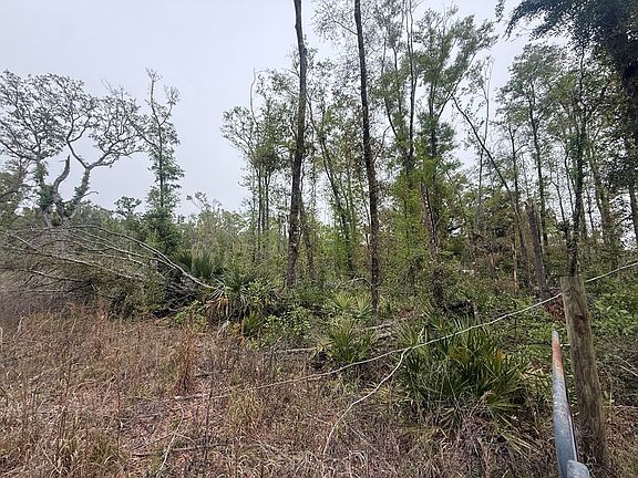 5th image of LOT 12 NE 355th Ave