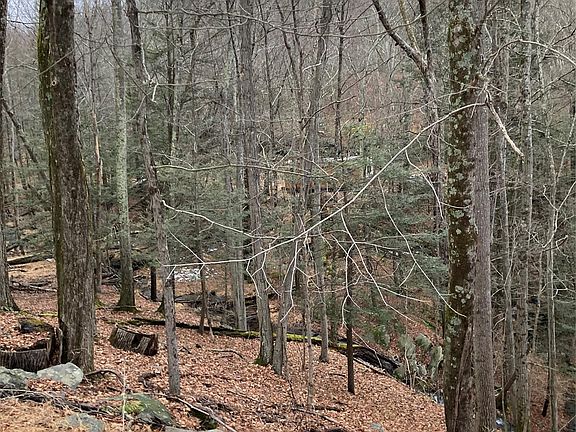 5th image of Red Hill Road