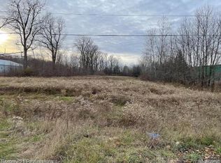 0 Van Dyke Rd, Almont, MI 48003