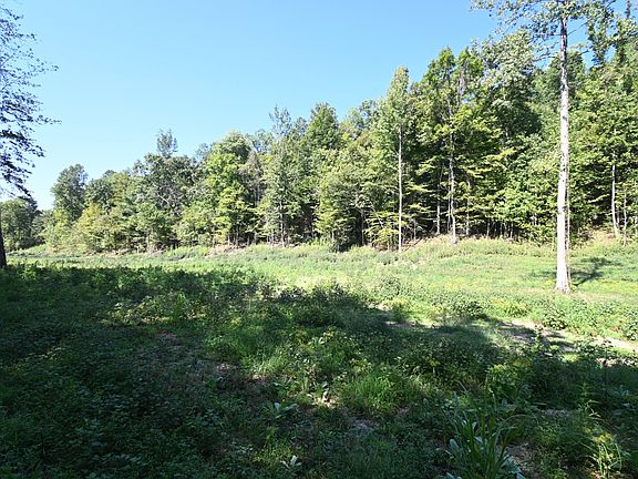 5th image of 1928 Swindle Creek Rd Lot 3