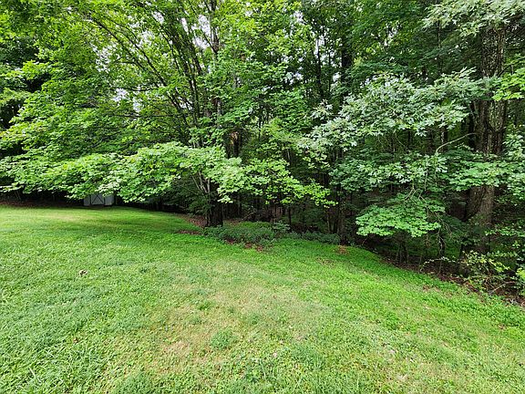 3rd image of 696 Double Branch Rd