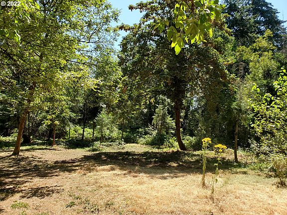 4th image of 6699 SE Mabel Ave